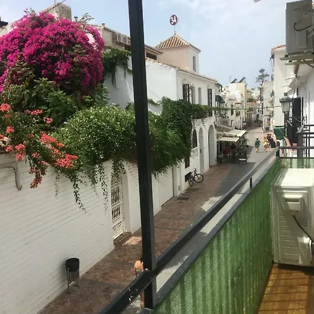 Carabeo 51 *